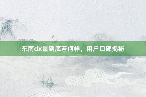 东南dx量到底若何样，用户口碑揭秘